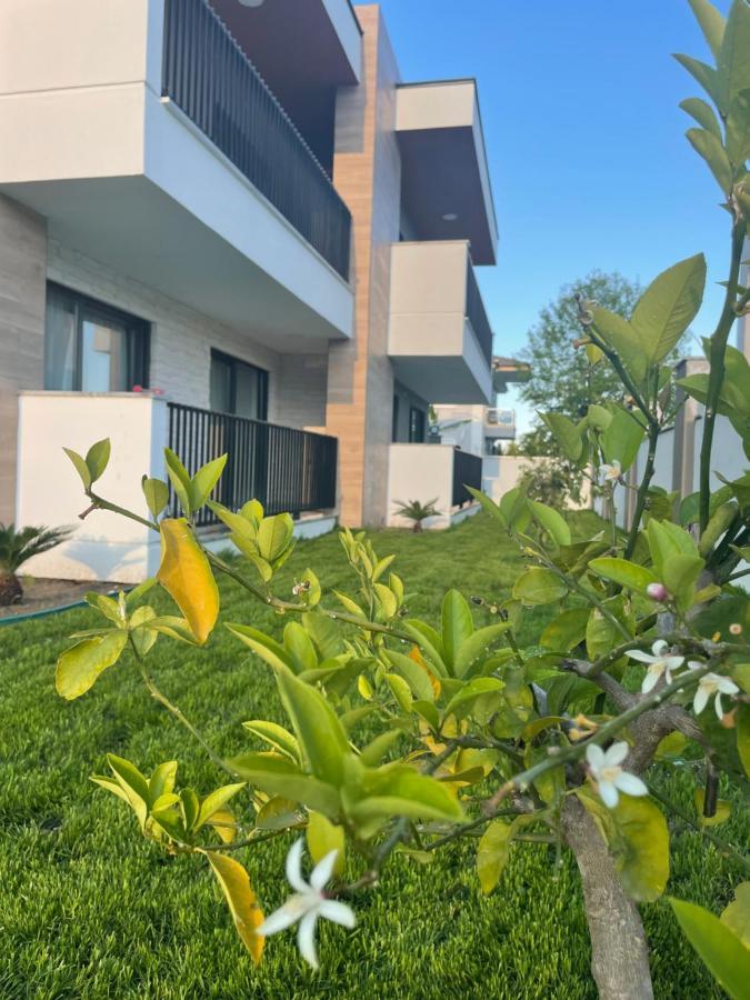Kalida Apart Kemer Bagian luar foto